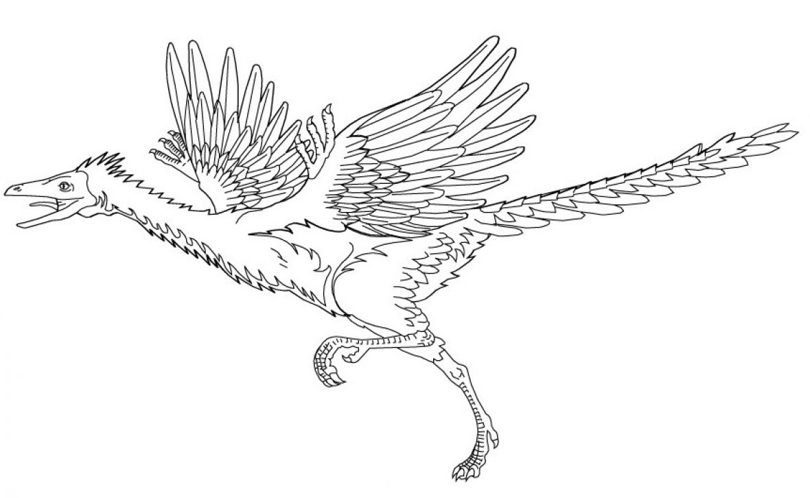 Archaeopteryx
